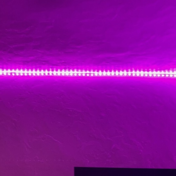 FREE ITEM ⚡️ - Picture 1 of 1